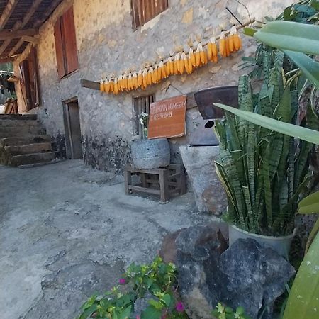 Trieu Hoan Homestay Каобанг Экстерьер фото
