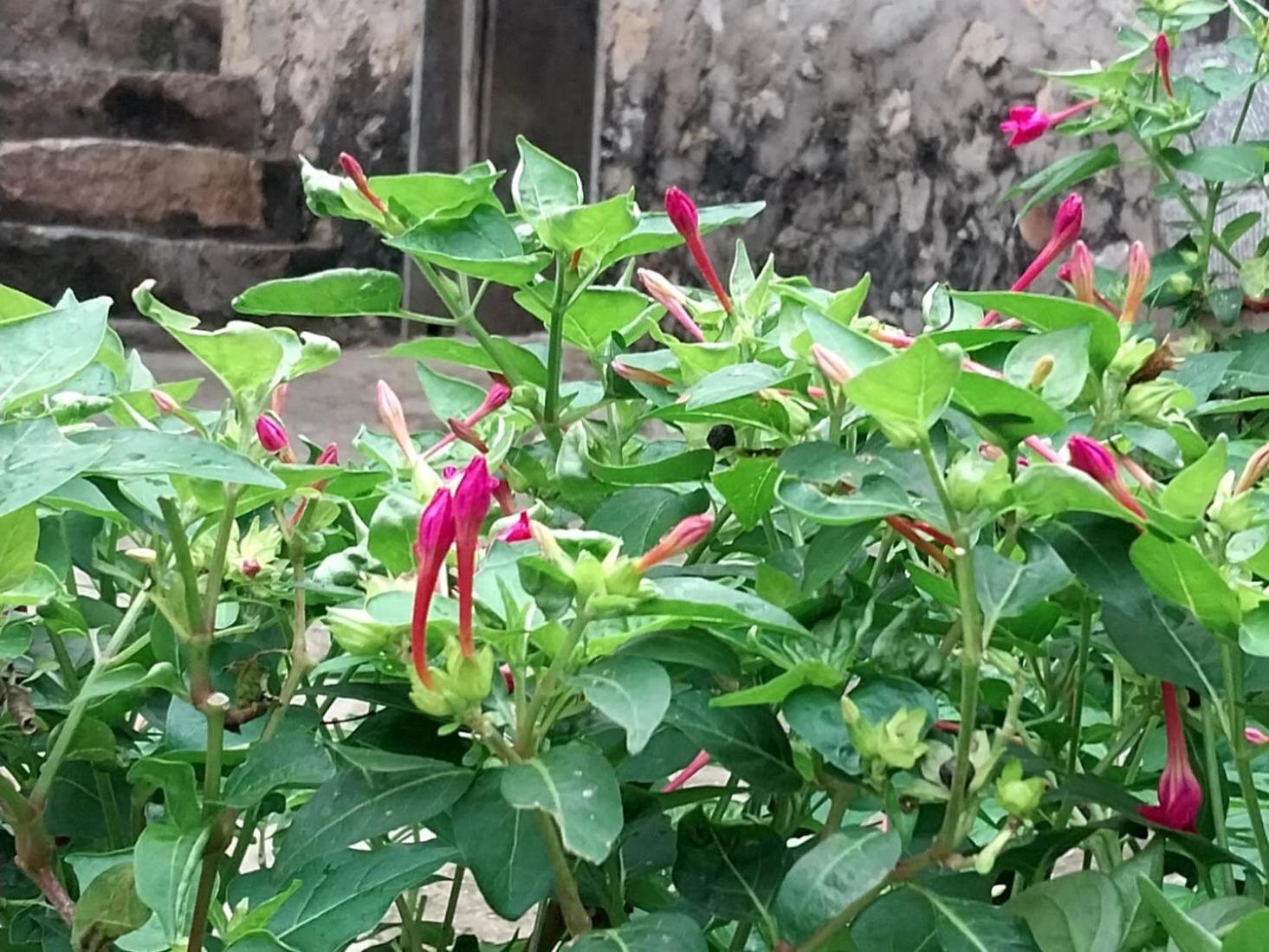 Trieu Hoan Homestay Каобанг Экстерьер фото