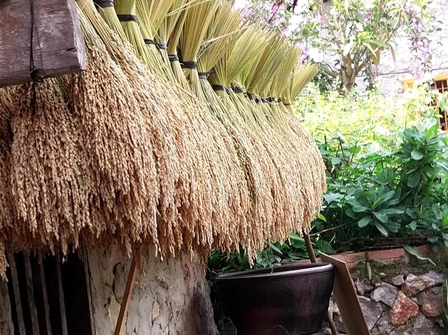 Trieu Hoan Homestay Каобанг Экстерьер фото